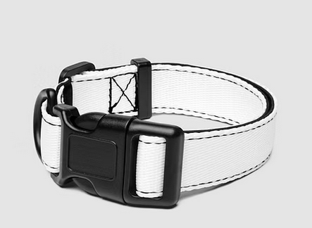 Angels' Habitat<P>The OGs Pet Collar & Leash</P>