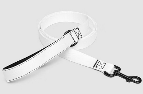 Angels' Habitat<P>The OGs Pet Collar & Leash</P>