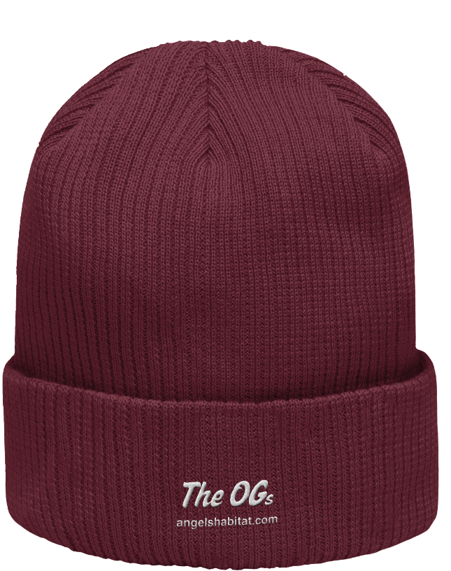 Angels' Habitat<P>The OGs Organic Ribbed Beanie</P>