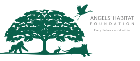 Angels' Habitat Foundation